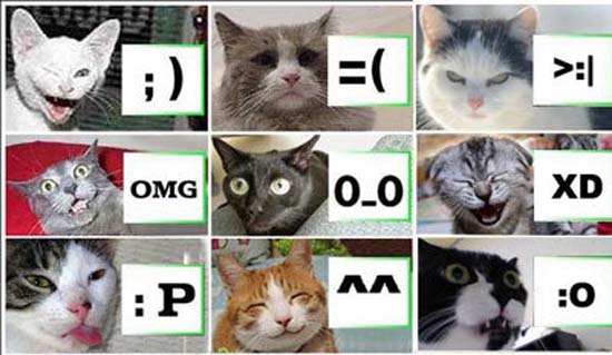 Emoti-Cats